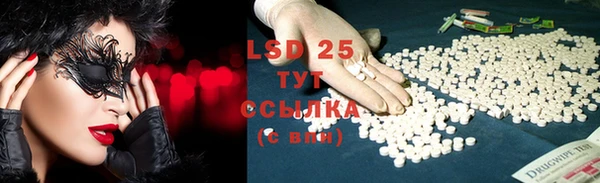 амф Липки