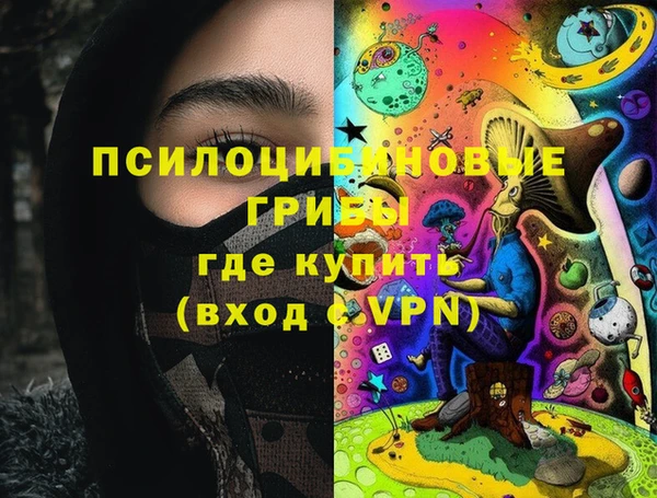 амф Липки