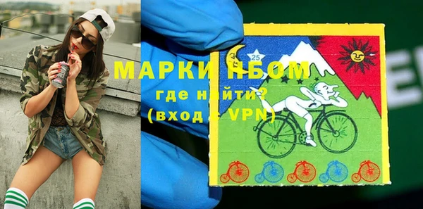 амф Липки
