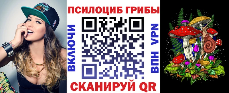 Псилоцибиновые грибы Psilocybine cubensis  Купить  Владивосток 
